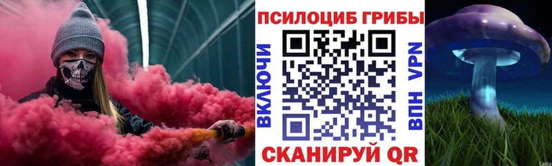 где купить наркотик  Подольск  Галлюциногенные грибы Psilocybe 